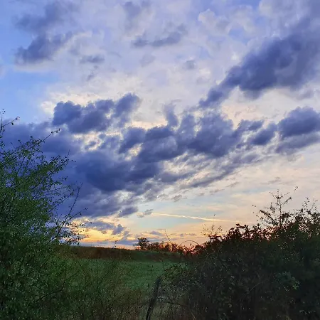 Le Sanglier Sauvage 3* Champsevraine