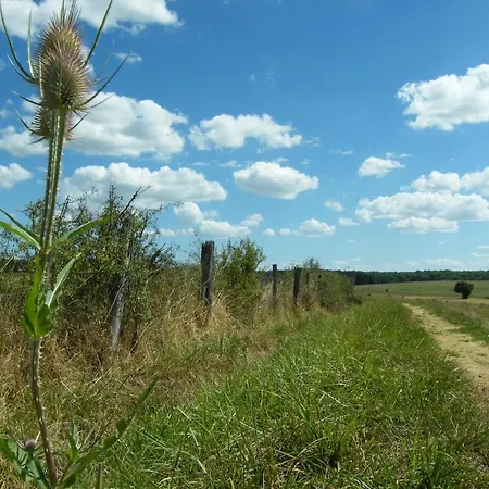 Le Sanglier Sauvage 3* Champsevraine