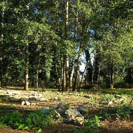 Le Sanglier Sauvage Champsevraine