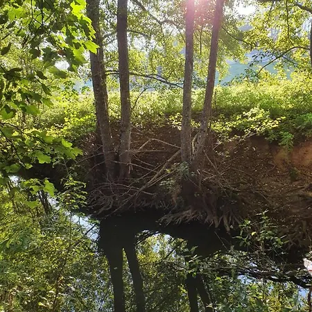 Le Sanglier Sauvage Отель типа 