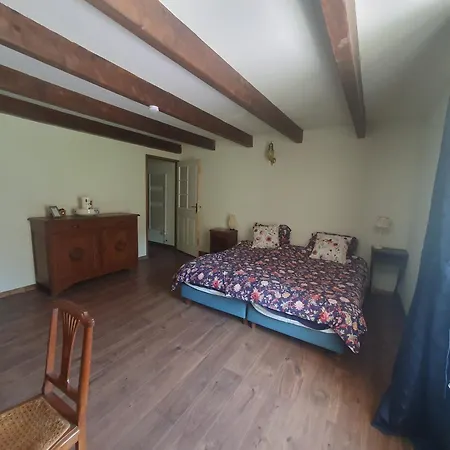 Le Sanglier Sauvage Nocleg ze śniadaniem 3*