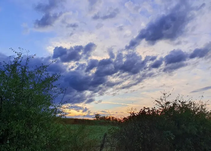 Le Sanglier Sauvage 3* Champsevraine