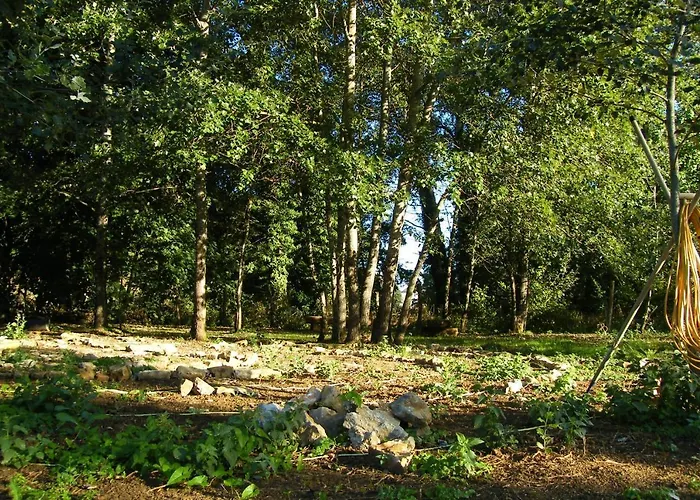 Le Sanglier Sauvage Champsevraine