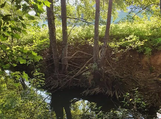 Le Sanglier Sauvage Couette-café