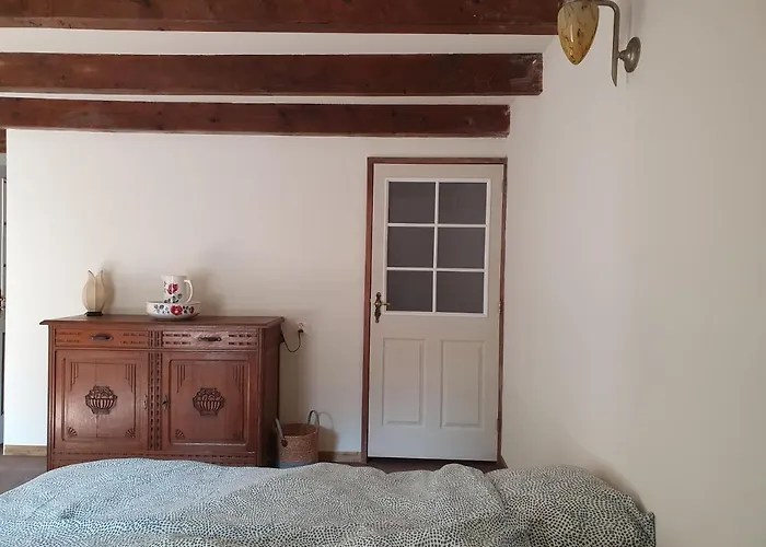 Le Sanglier Sauvage Couette-café