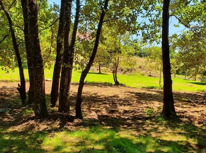 Couette-café Le Sanglier Sauvage Champsevraine